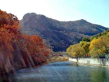 新澳门二四六天天彩，快餐桌图片